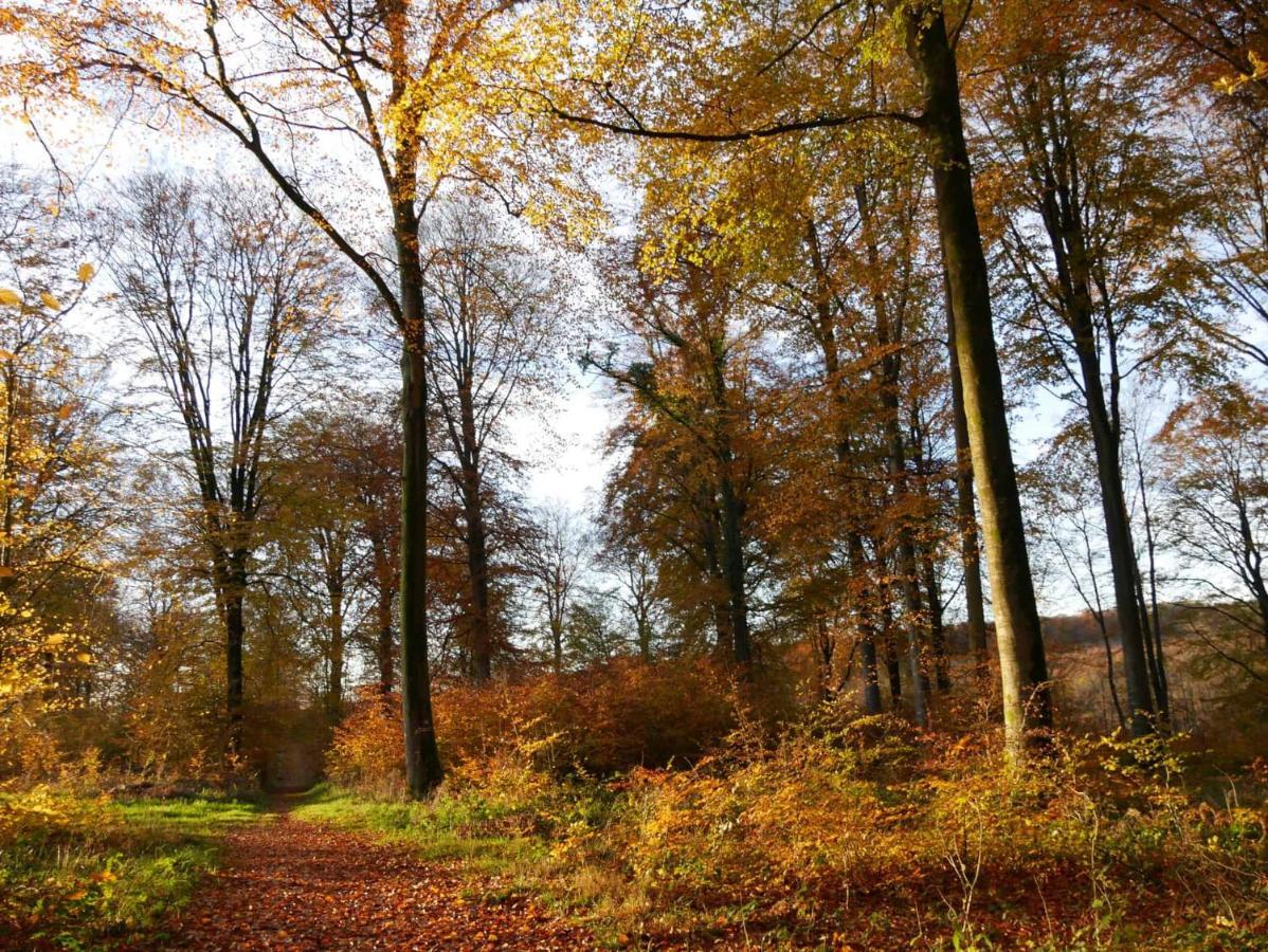Hôte Il était une fois Hesdin Extérieur photo